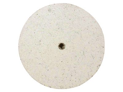 Silicone Rubber Wheel-white        White=extra Coarse - Standard Image - 1