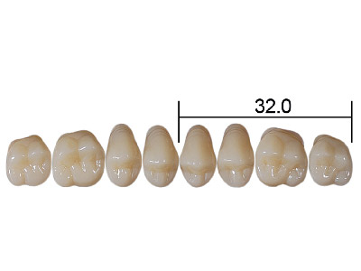 Kaili Posterior Upper 28 34 B4