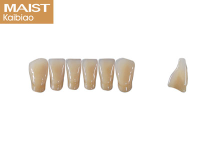 Maist Anterior Lower L5 A2 - Standard Image - 1