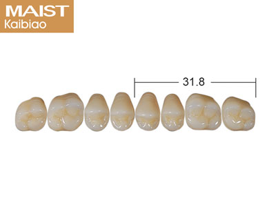 Maist Posterior Upper 34 A2