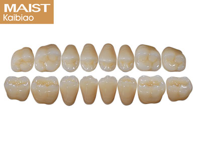 Maist Posterior Upper 34 A2 - Standard Image - 2