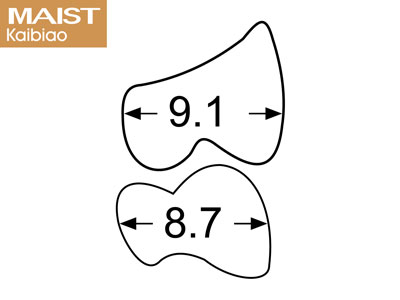 Maist Posterior Upper 34 A2 - Standard Image - 3